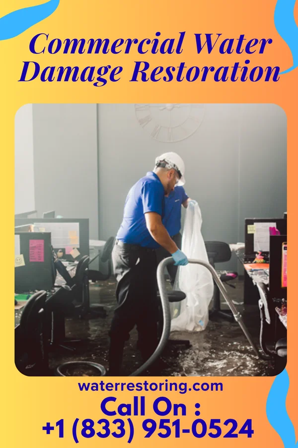 Commercial Water Damage Restoration in North Rock Springs, WY