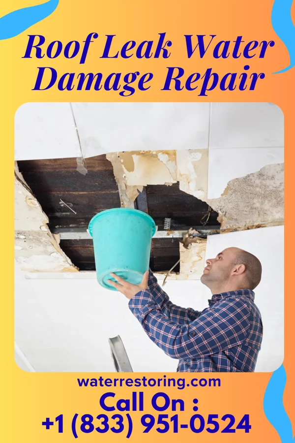 Roof Leak Water Damage Repair in North Rock Springs, WY
